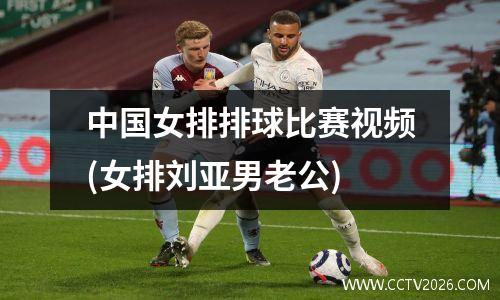 中国女排排球比赛视频(女排刘亚男老公)