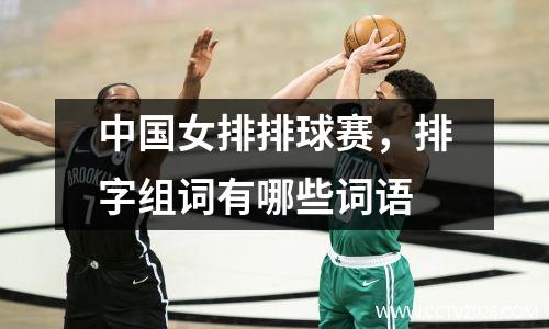 中国女排排球赛，排字组词有哪些词语