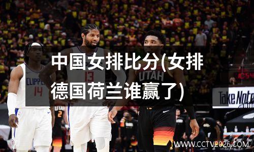 中国女排比分(女排德国荷兰谁赢了)