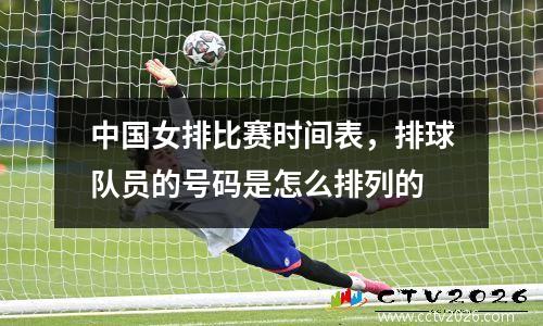 中国女排比赛时间表，排球队员的号码是怎么排列的