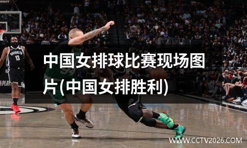 中国女排球比赛现场图片(中国女排胜利)
