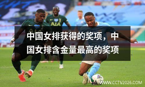 中国女排获得的奖项，中国女排含金量最高的奖项