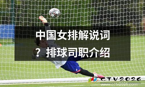 中国女排解说词？排球司职介绍