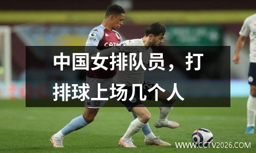 中国女排队员，打排球上场几个人