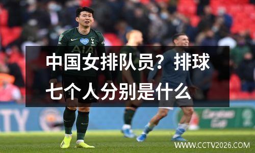 中国女排队员？排球七个人分别是什么