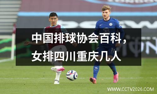 中国排球协会百科，女排四川重庆几人