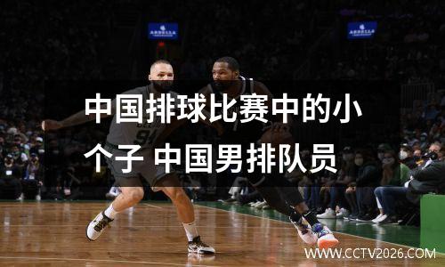 中国排球比赛中的小个子 中国男排队员