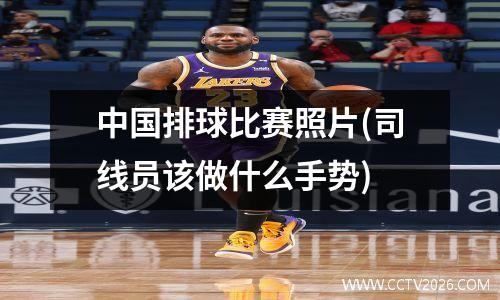 中国排球比赛照片(司线员该做什么手势)