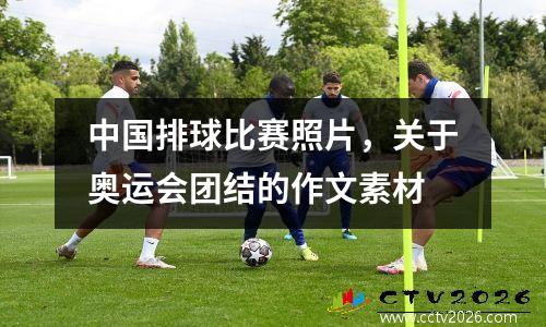 中国排球比赛照片，关于奥运会团结的作文素材