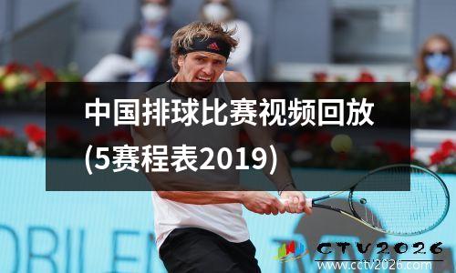 中国排球比赛视频回放(5赛程表2019)