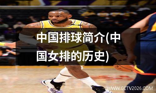 中国排球简介(中国女排的历史)