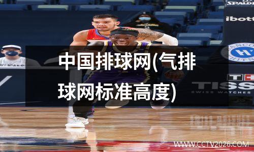 中国排球网(气排球网标准高度)