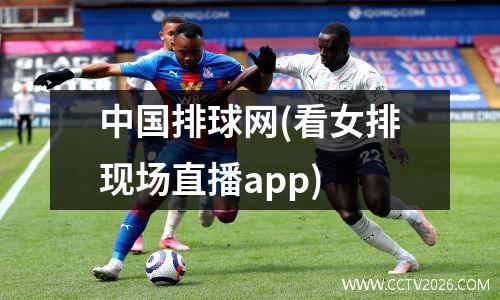 中国排球网(看女排现场直播app)