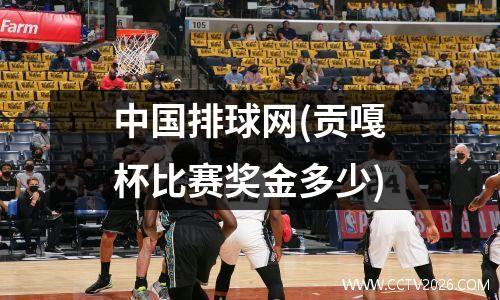 中国排球网(贡嘎杯比赛奖金多少)