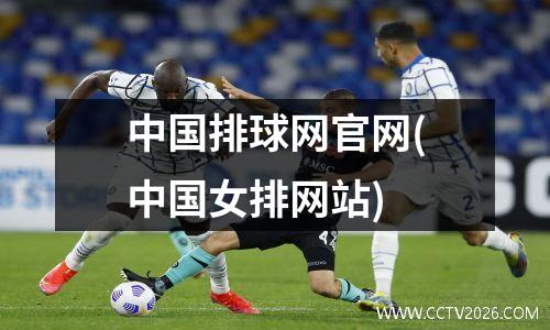 中国排球网官网(中国女排网站)