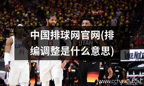 中国排球网官网(排编调整是什么意思)