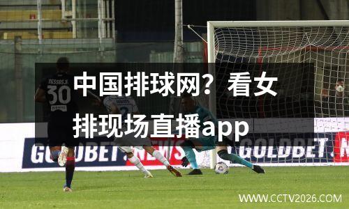 中国排球网？看女排现场直播app