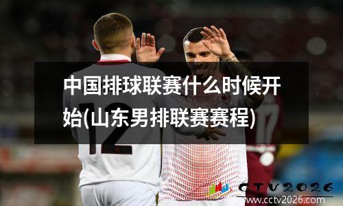 中国排球联赛什么时候开始(山东男排联赛赛程)