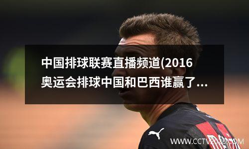 中国排球联赛直播频道(2016奥运会排球中国和巴西谁赢了)