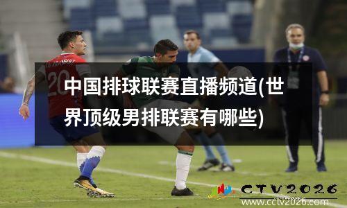 中国排球联赛直播频道(世界顶级男排联赛有哪些)