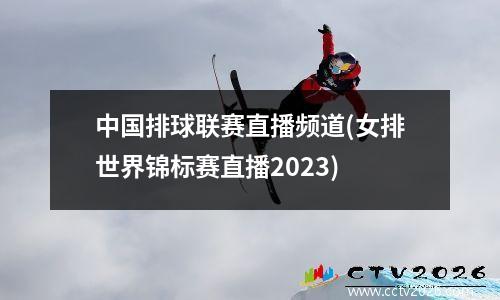中国排球联赛直播频道(女排世界锦标赛直播2023)