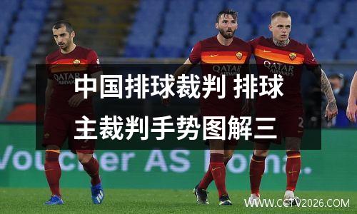 中国排球裁判 排球主裁判手势图解三