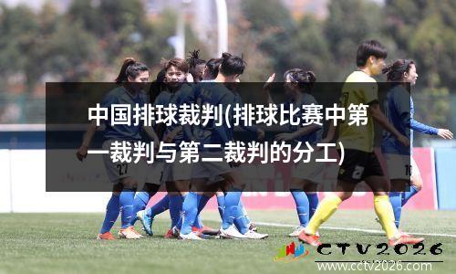 中国排球裁判(排球比赛中第一裁判与第二裁判的分工)