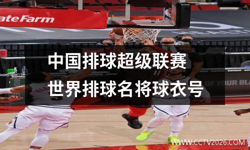 中国排球超级联赛 世界排球名将球衣号