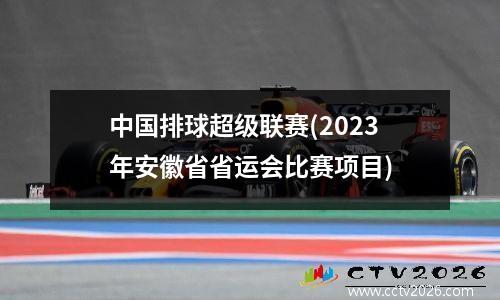 中国排球超级联赛(2023年安徽省省运会比赛项目)