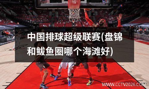 中国排球超级联赛(盘锦和鲅鱼圈哪个海滩好)
