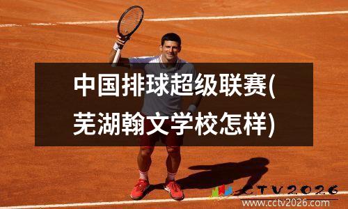 中国排球超级联赛(芜湖翰文学校怎样)