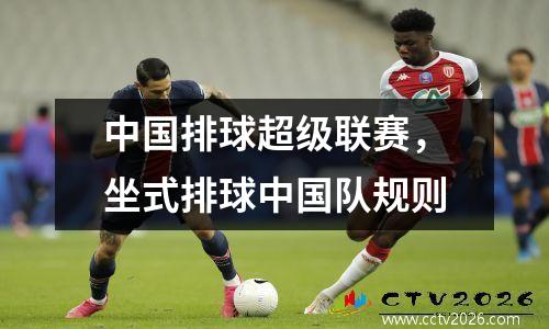 中国排球超级联赛，坐式排球中国队规则