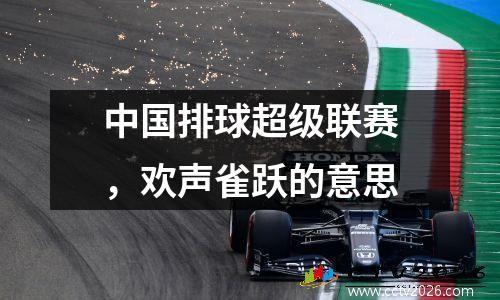 中国排球超级联赛，欢声雀跃的意思