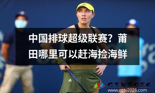 中国排球超级联赛？莆田哪里可以赶海捡海鲜