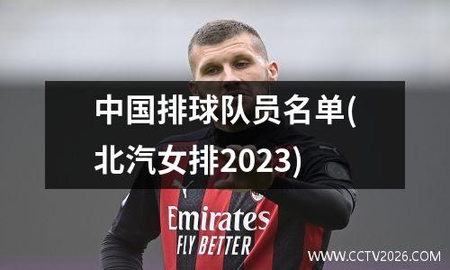 中国排球队员名单(北汽女排2023)