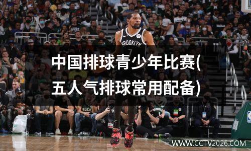 中国排球青少年比赛(五人气排球常用配备)
