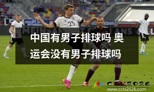 中国有男子排球吗 奥运会没有男子排球吗