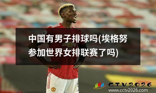 中国有男子排球吗(埃格努参加世界女排联赛了吗)