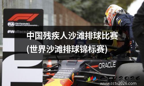 中国残疾人沙滩排球比赛(世界沙滩排球锦标赛)