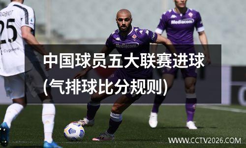 中国球员五大联赛进球(气排球比分规则)