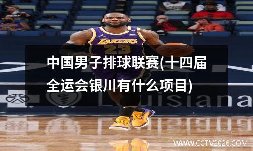 中国男子排球联赛(十四届全运会银川有什么项目)