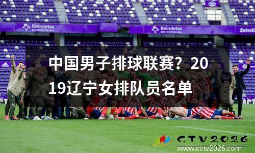 中国男子排球联赛？2019辽宁女排队员名单
