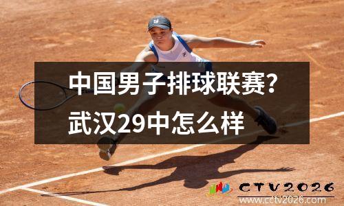 中国男子排球联赛？武汉29中怎么样