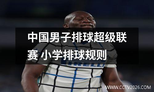 中国男子排球超级联赛 小学排球规则