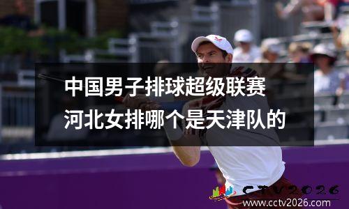 中国男子排球超级联赛 河北女排哪个是天津队的
