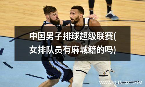 中国男子排球超级联赛(女排队员有麻城籍的吗)