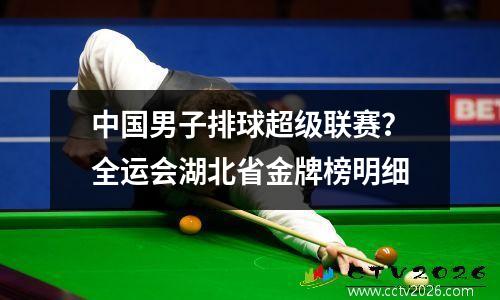 中国男子排球超级联赛？全运会湖北省金牌榜明细