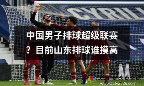 中国男子排球超级联赛？目前山东排球谁摸高