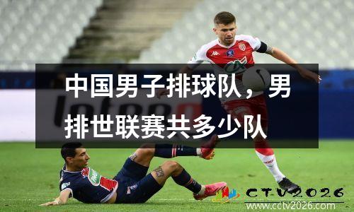 中国男子排球队，男排世联赛共多少队