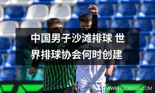 中国男子沙滩排球 世界排球协会何时创建